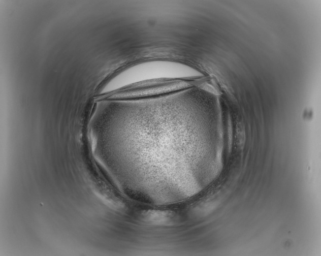 X0000091450255200709061741