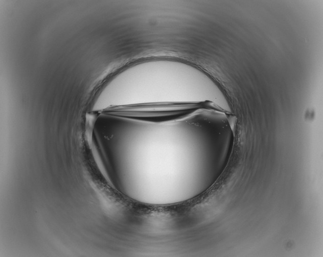 X0000091450256200709061741