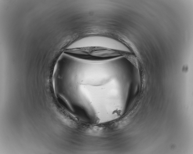 X0000091450257200709061741