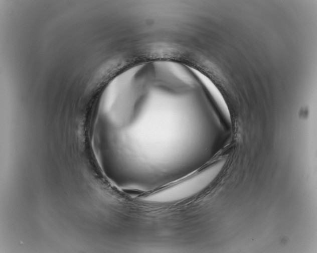 X0000091450258200709061741