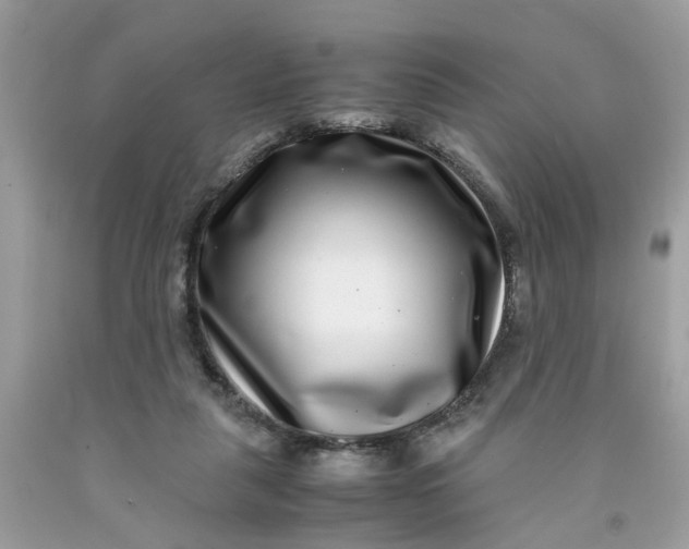 X0000091450259200709061741