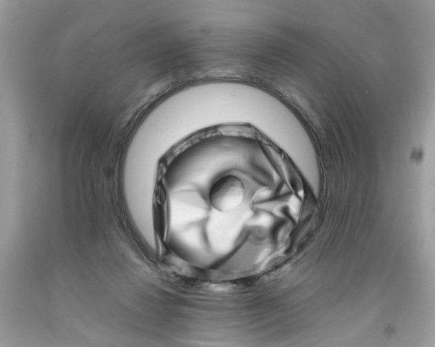 X0000091450260200709061741