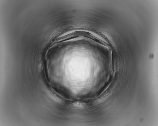 X0000091450261200709061741