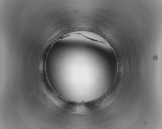 X0000091450262200709061741