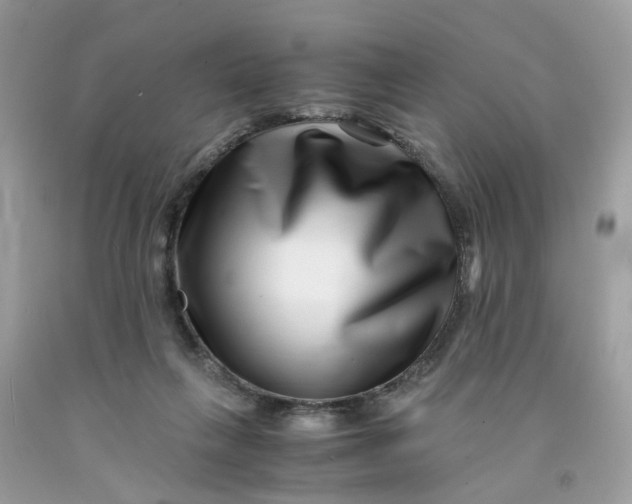 X0000091450263200709061741