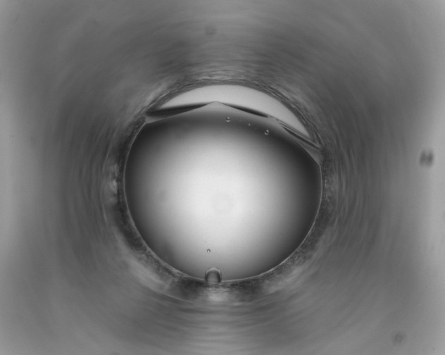 X0000091450264200709061741