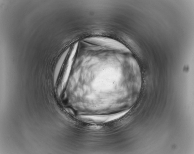 X0000091450265200709061741