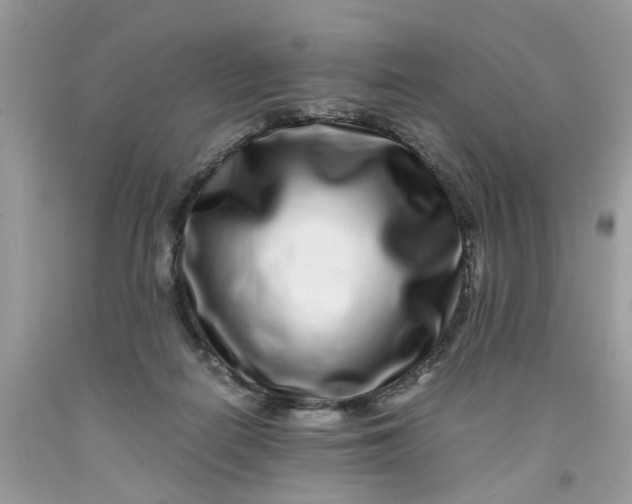 X0000091450266200709061741