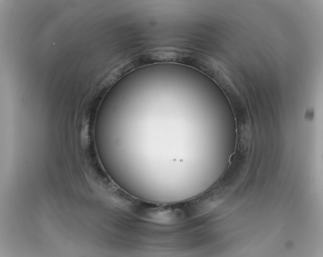 X0000091450267200709061741