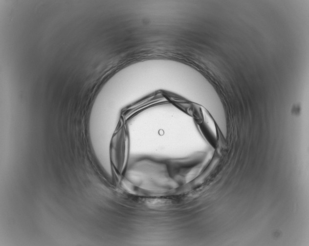 X0000091450268200709061741