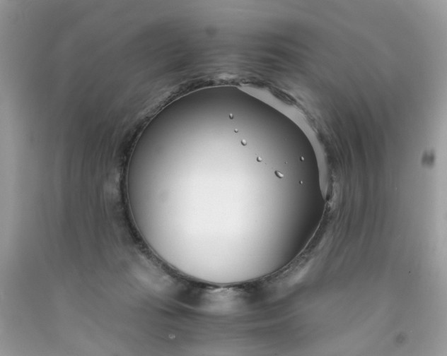 X0000091450269200709061741