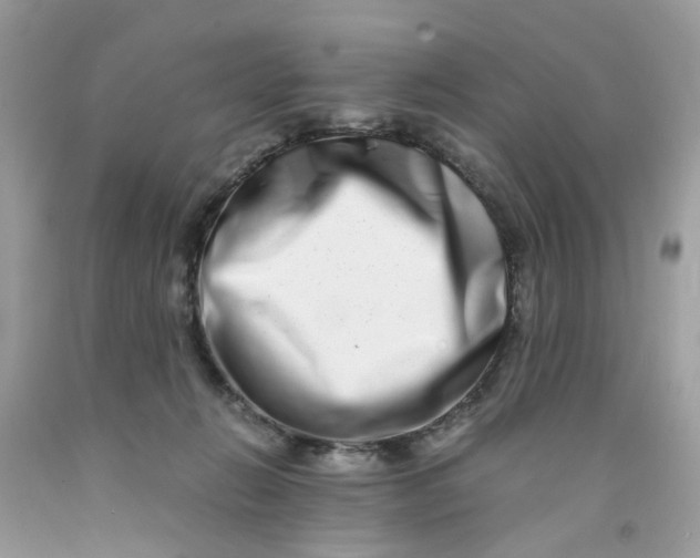 X0000091450270200709061741