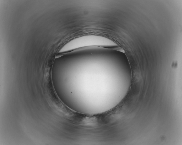 X0000091450271200709061741