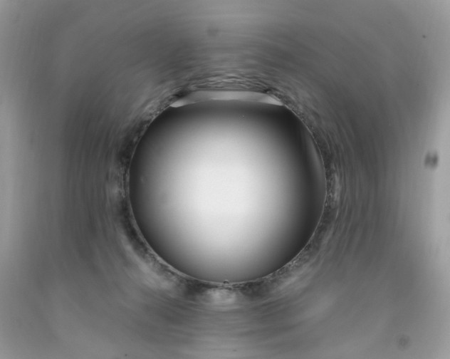 X0000091450272200709061741