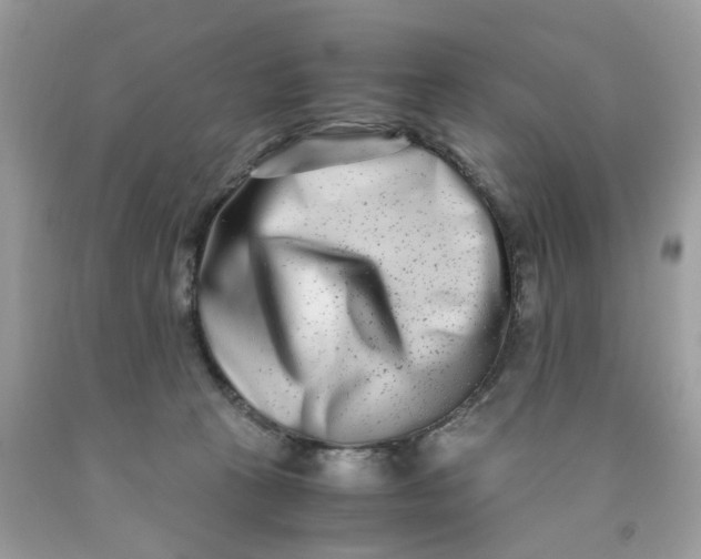 X0000091450273200709061741