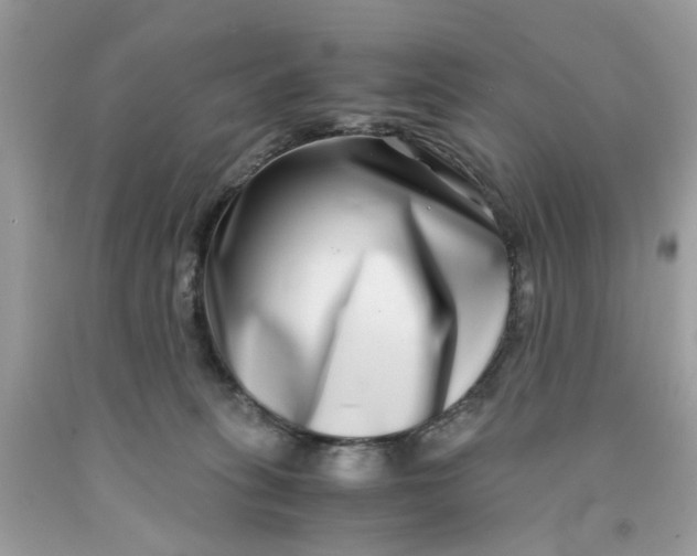 X0000091450275200709061741