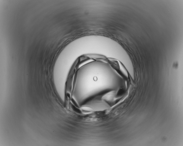 X0000091450276200709061741