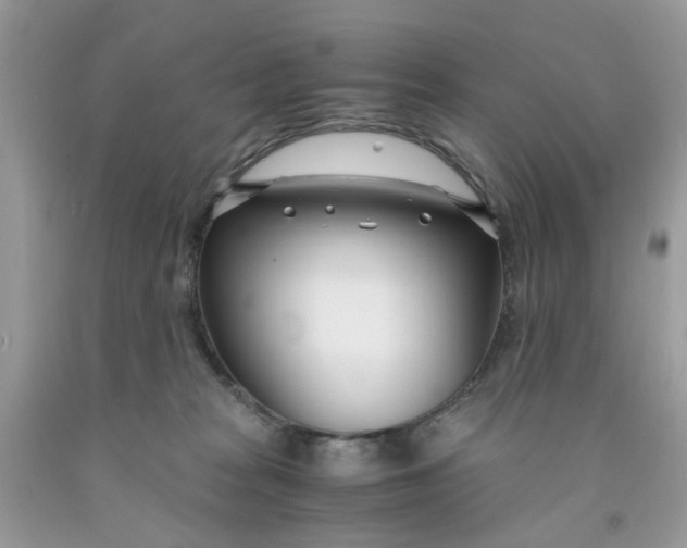 X0000091450277200709061741