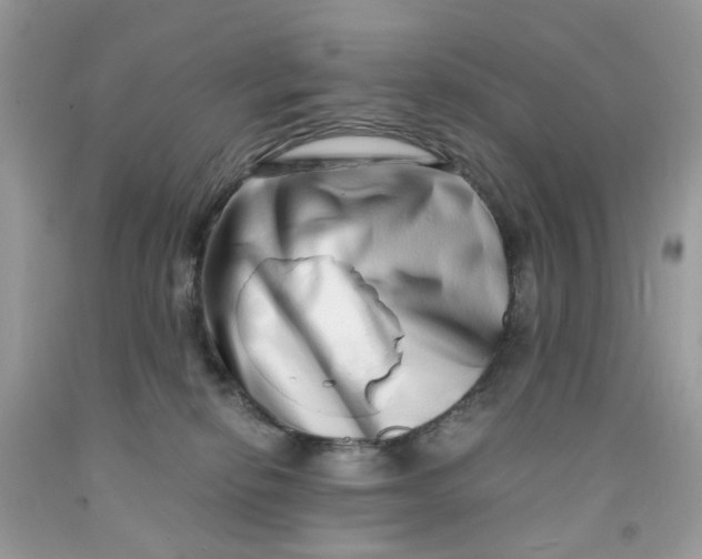 X0000091450278200709061741