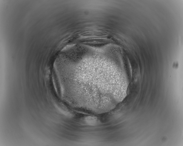 X0000091450279200709061741