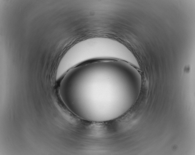 X0000091450280200709061741