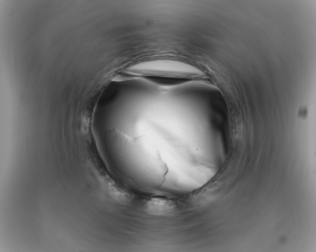 X0000091450281200709061741