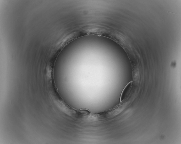 X0000091450282200709061741