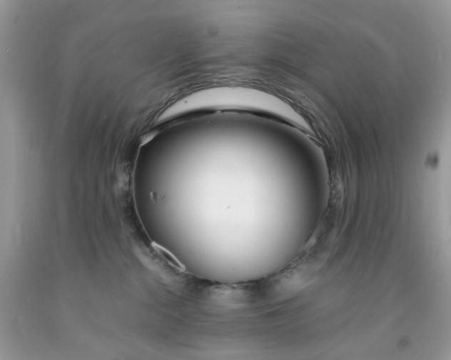 X0000091450284200709061741