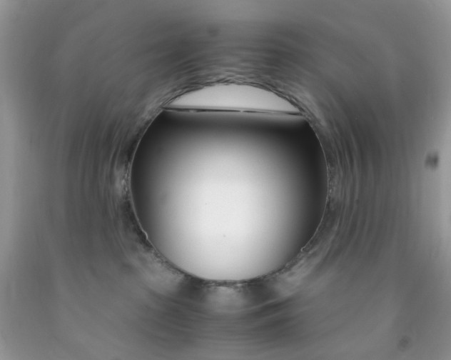 X0000091450285200709061741