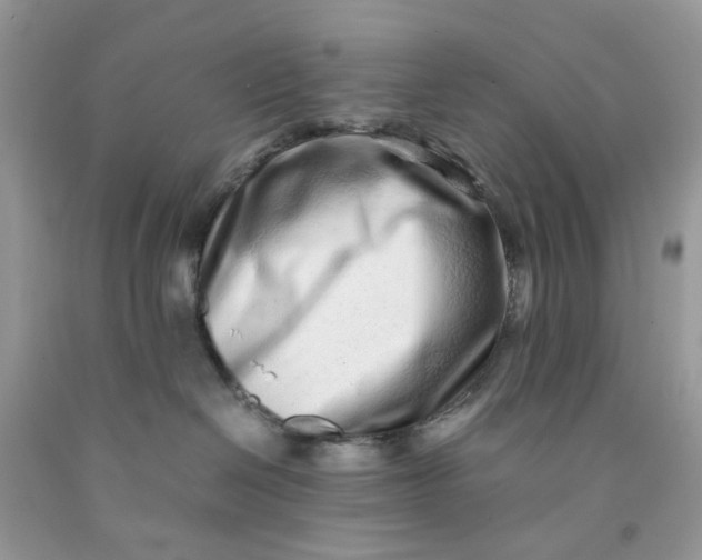 X0000091450286200709061741