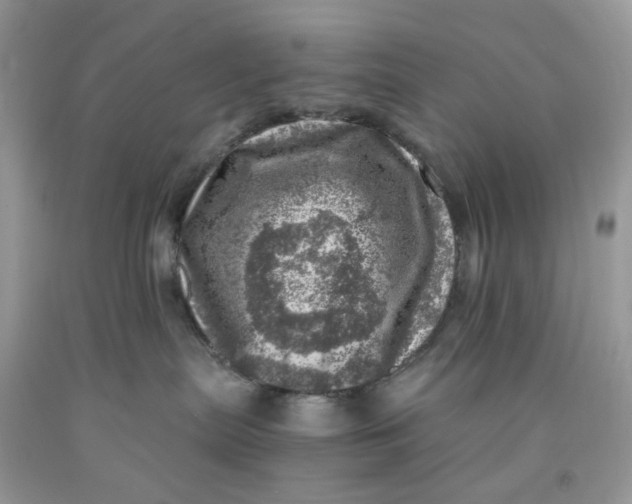 X0000091450287200709061741