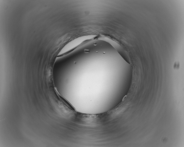 X0000091450288200709061741