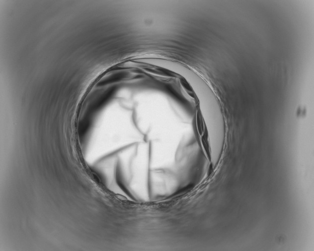 X0000091450289200709061741