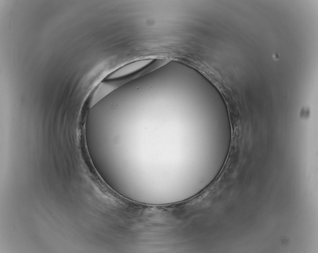 X0000091450290200709061741