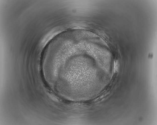 X0000091450291200709061741