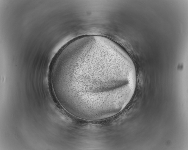 X0000091450292200709061741