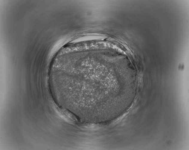 X0000091450293200709061741