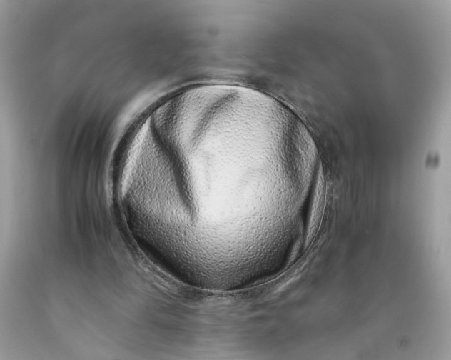 X0000091450294200709061741