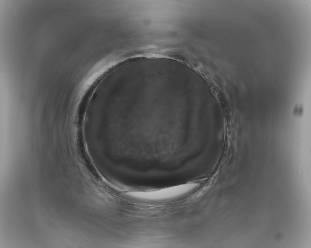 X0000091450295200709061741