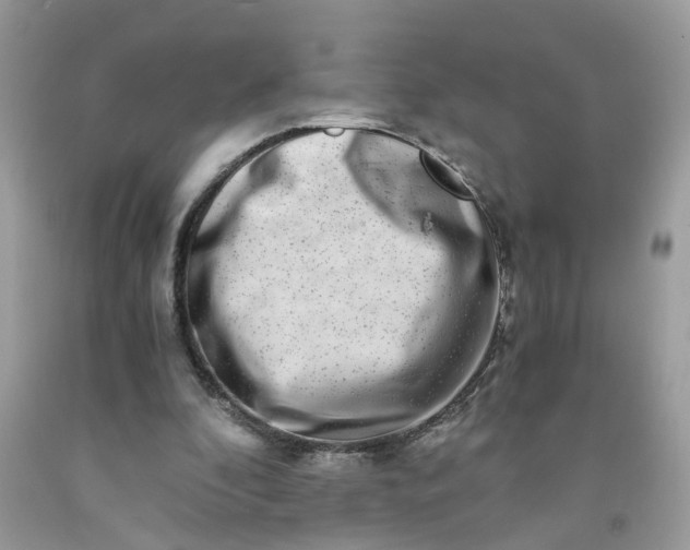 X0000091450296200709061741