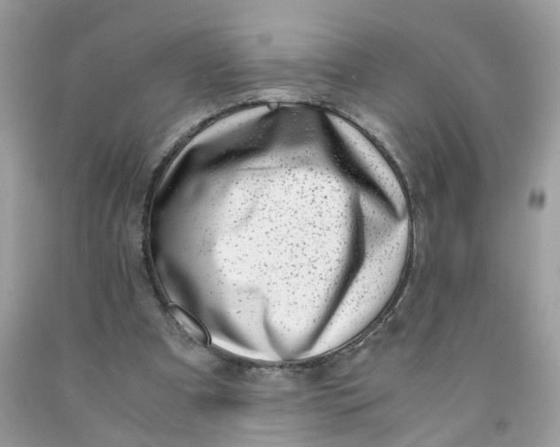 X0000091450297200709061741