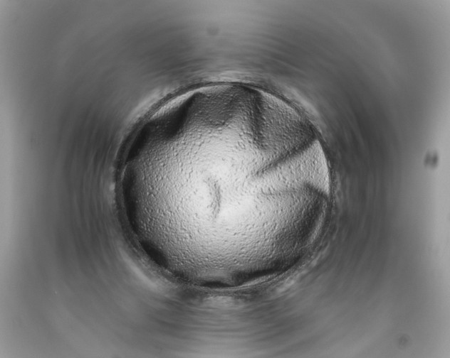 X0000091450298200709061741