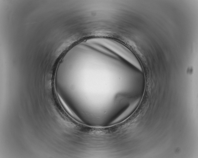 X0000091450299200709061741