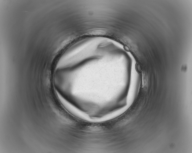 X0000091450300200709061741