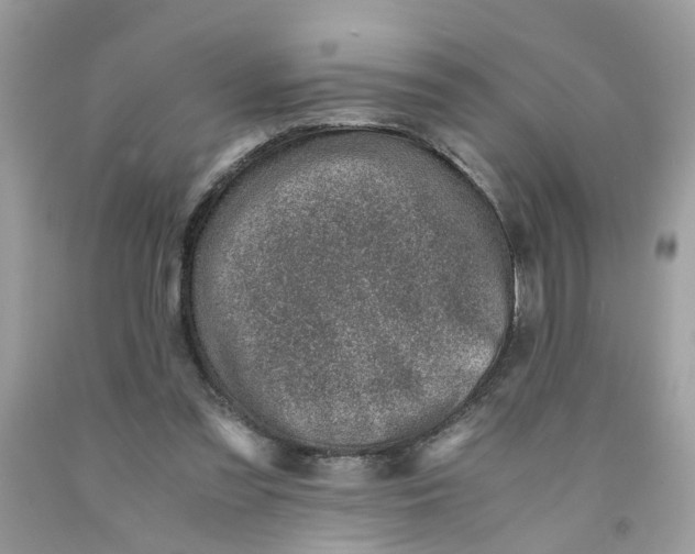 X0000091450301200709061741