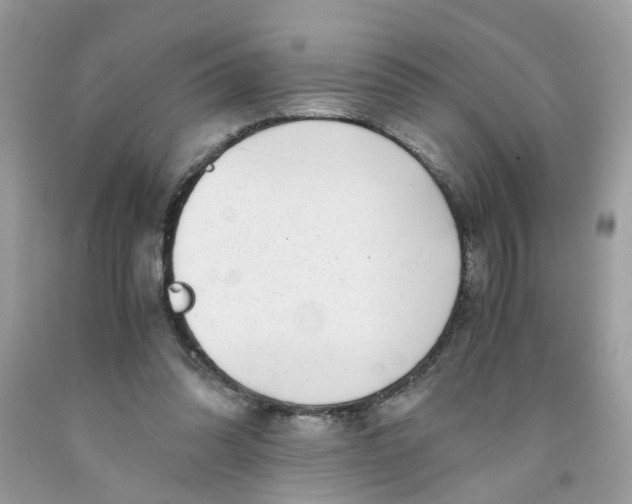 X0000091450302200709061741