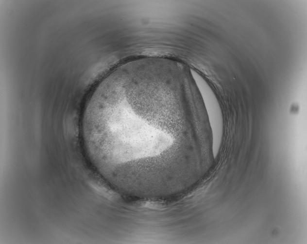 X0000091450303200709061741