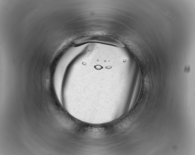 X0000091450304200709061741