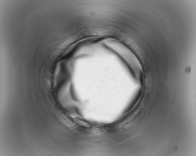 X0000091450305200709061740