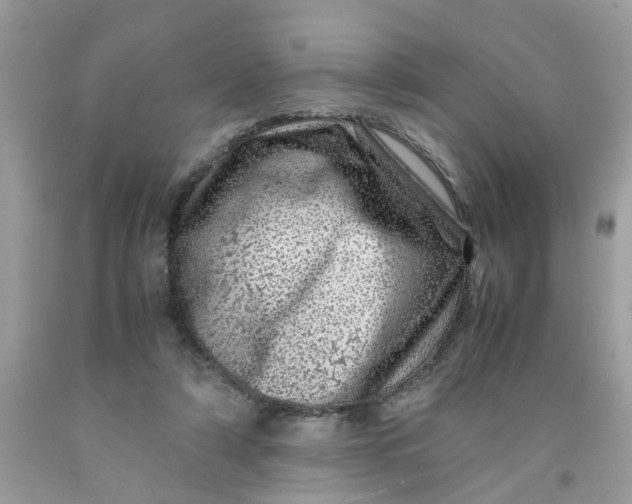 X0000091450306200709061740